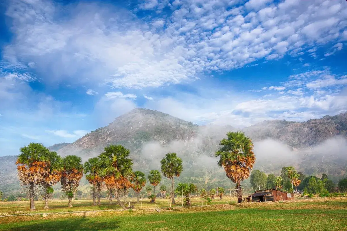 Ngắm nhìn Núi Cấm An Giang tựa như bức tranh thiên nhiên hùng vĩ, làm ta quên đi muộn phiền