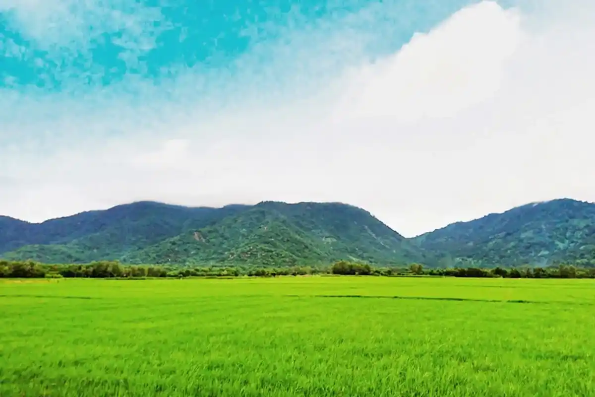 Chinh phục núi Dài dễ dàng với những cung đường đẹp, cảnh sắc bên đường thấm đẫm hồn quê