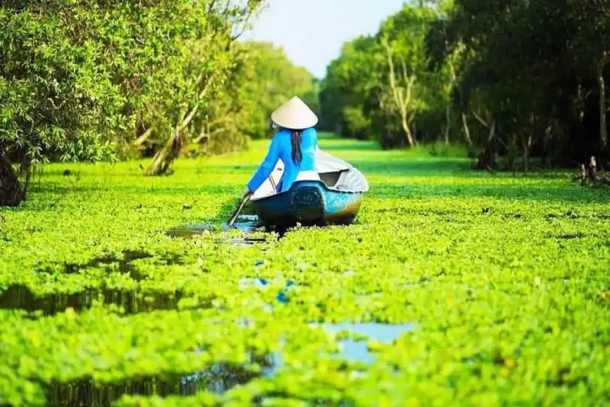 Rừng thiên nhiên trù phú