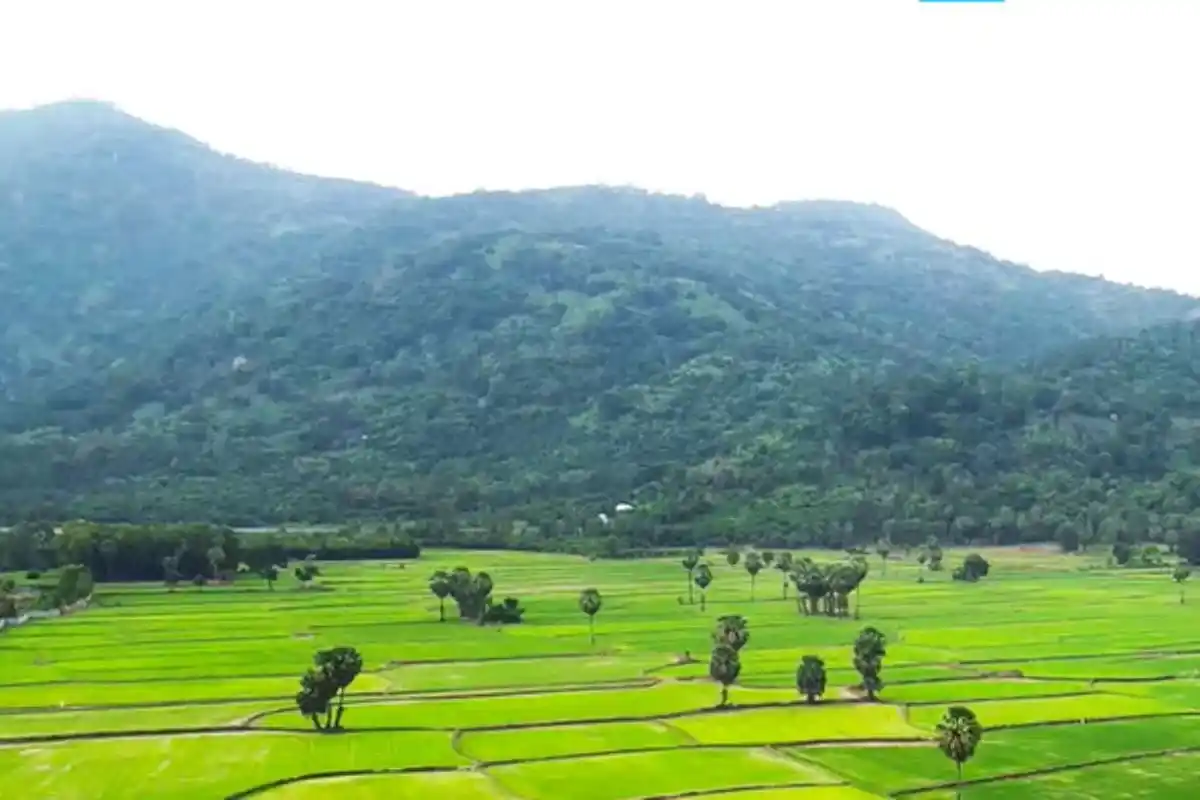 Núi Dài An Giang ẩn mình giữa vùng Tịnh Biên, nơi thiên nhiên và văn hóa Khmer giao thoa