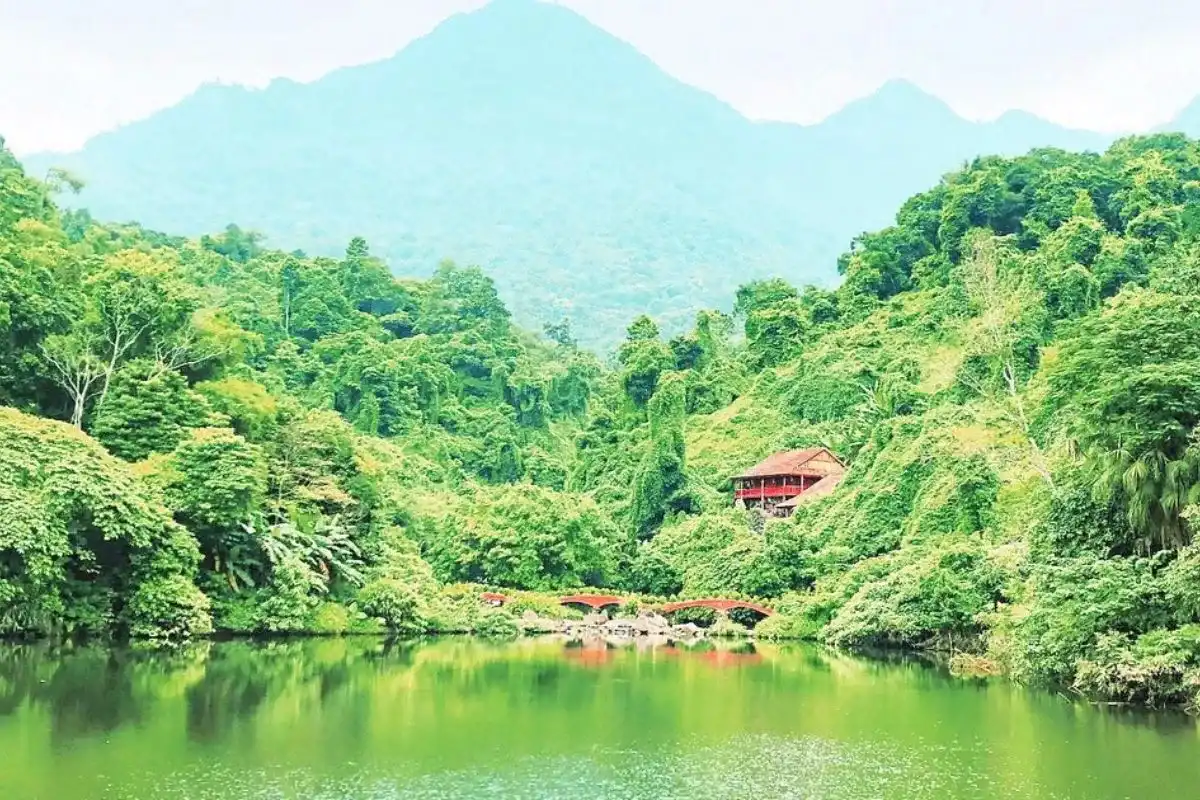 Thiên nhiên tĩnh lặng