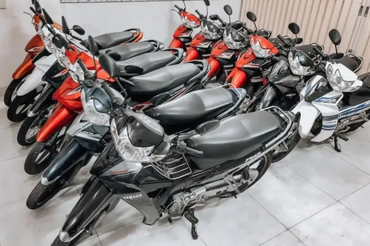 Chuyên cung cấp xe số