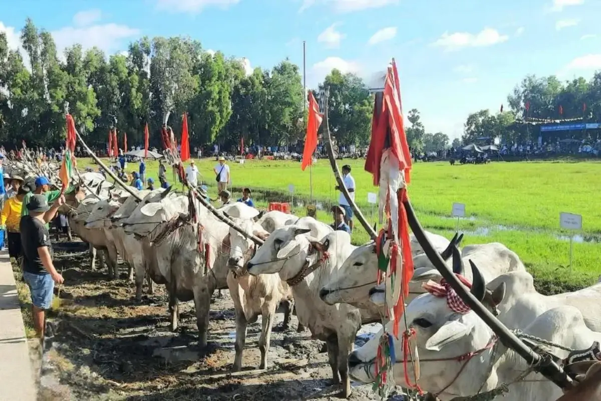 Trước khi bắt đầu lễ hội