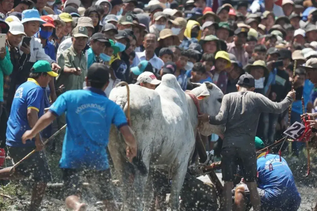 Người dân cùng nhau tham gia