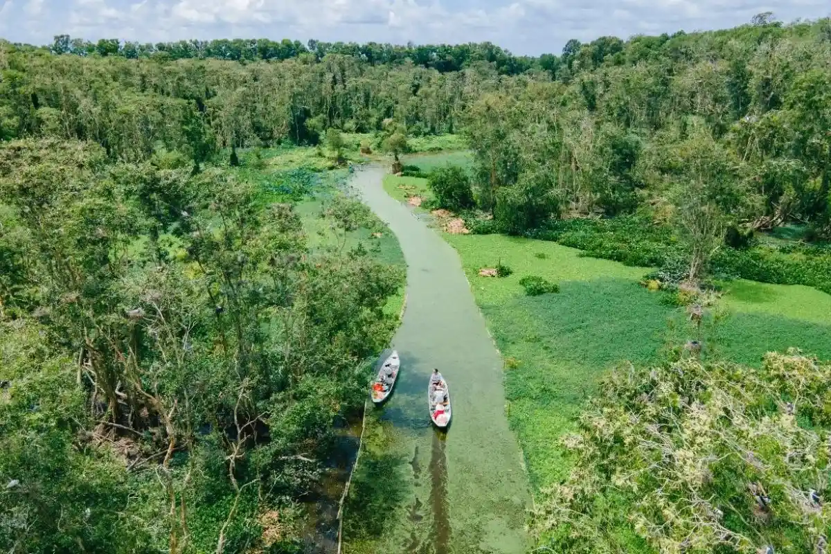 Rừng Tràm Trà Sư là một trong những điểm đến sinh thái gần Cổng Trời Tri Tôn ở An Giang