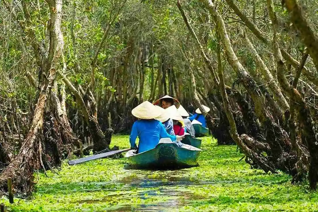 Phương tiện khám phá rừng tràm Trà Sư