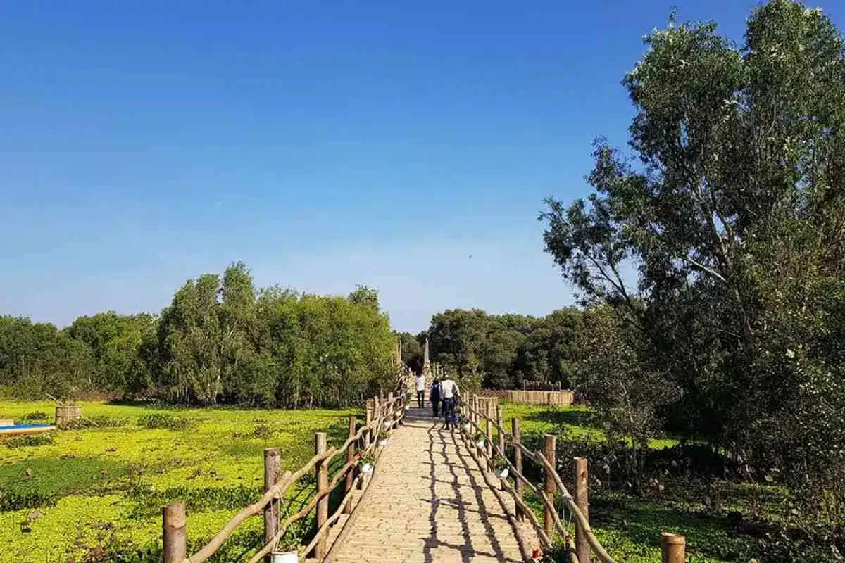 Vai trò của hệ sinh thái tại Rừng Tràm Trà Sư