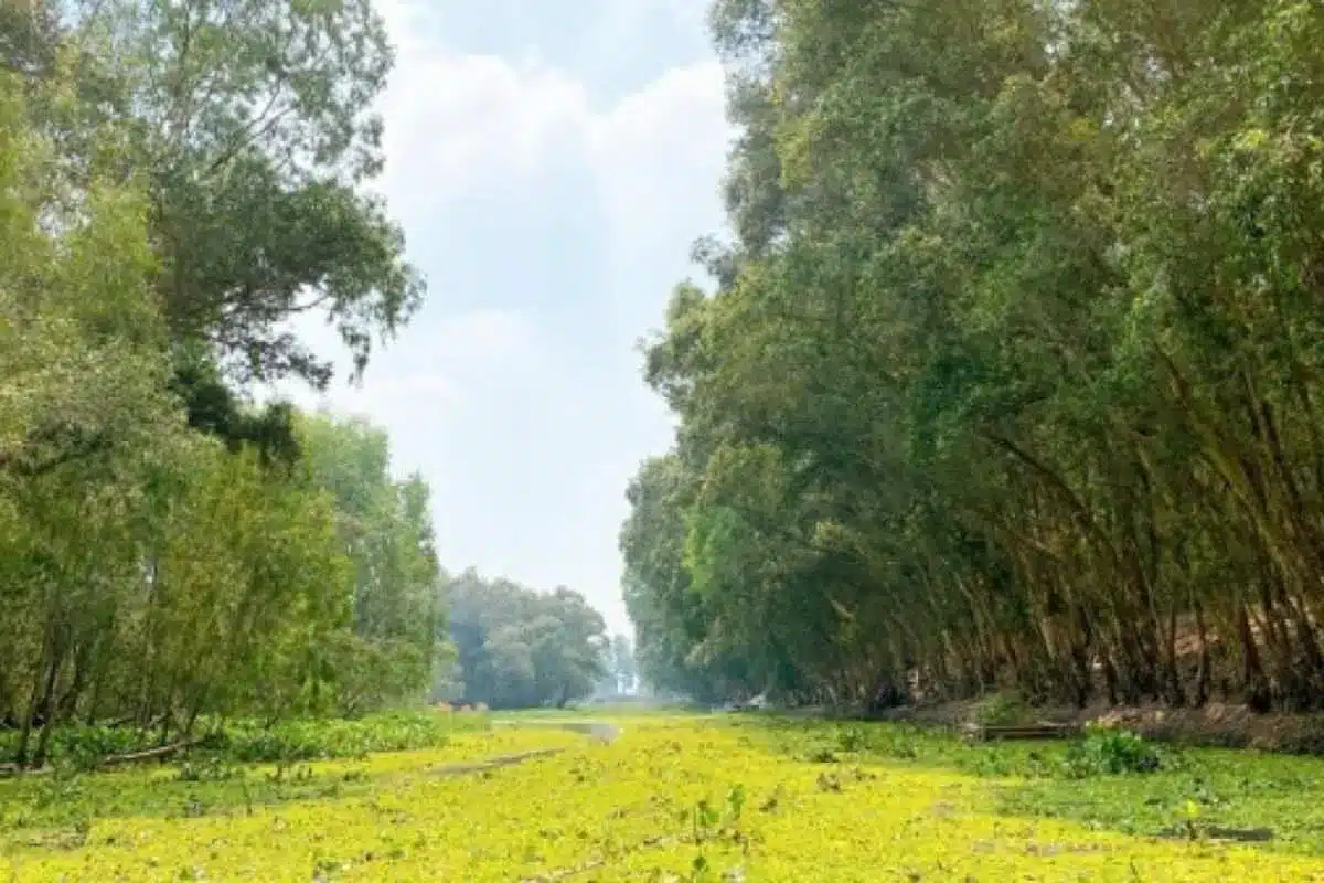 Những thách thức cùng giải pháp bảo tồn và phát triển bền vững hệ sinh thái