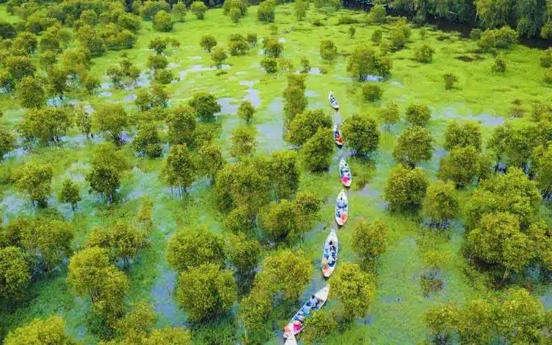 Hệ sinh thái Rừng Tràm Trà Sư: Đa dạng và cần bảo tồn