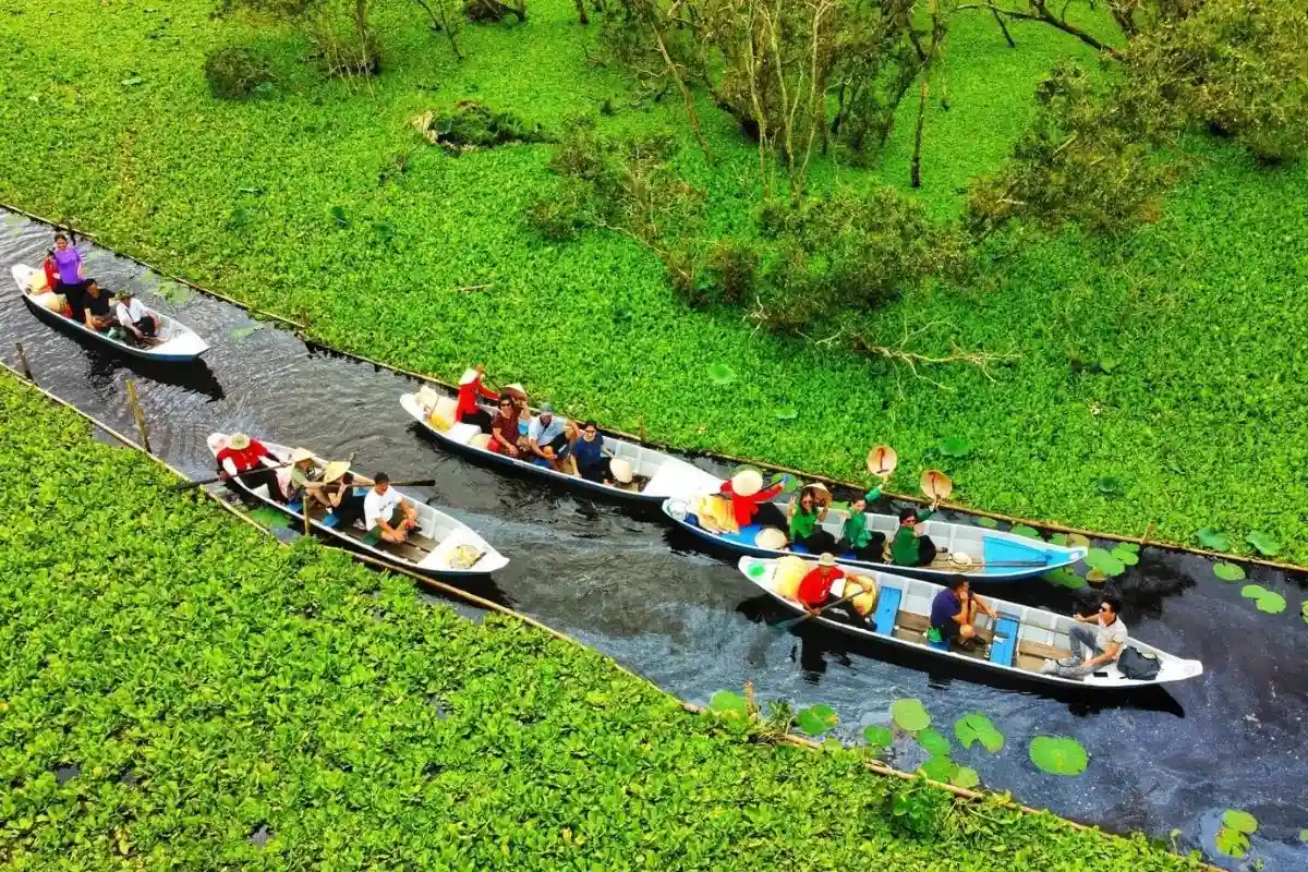 Du lịch rừng tràm Trà Sư