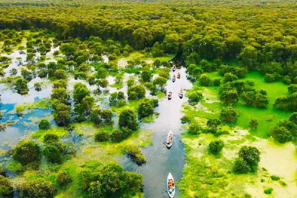 Lưu ý khi tham quan rừng tràm Trà Sư