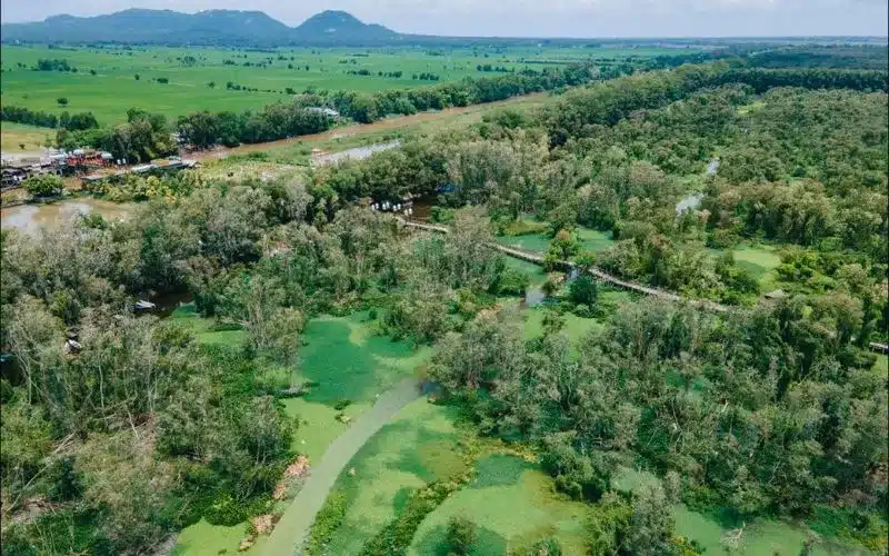 Rừng tràm Trà Sư: Giá vé và lịch trình chi tiết 2025