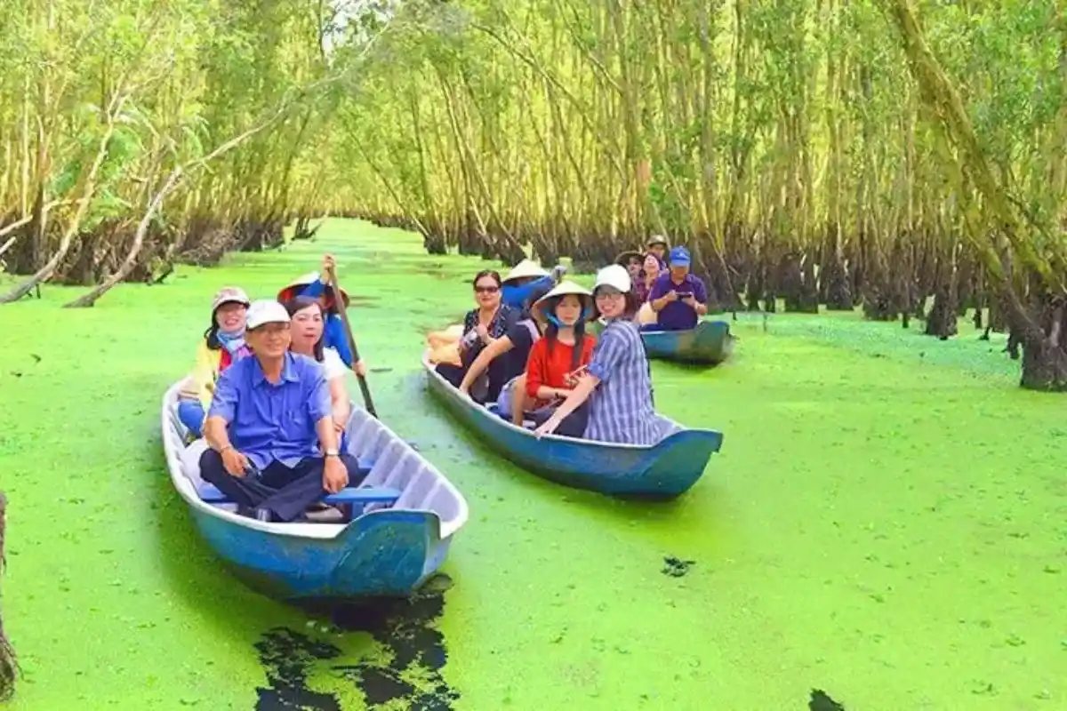 Các dạng tour Rừng Tràm Trà Sư phổ biến