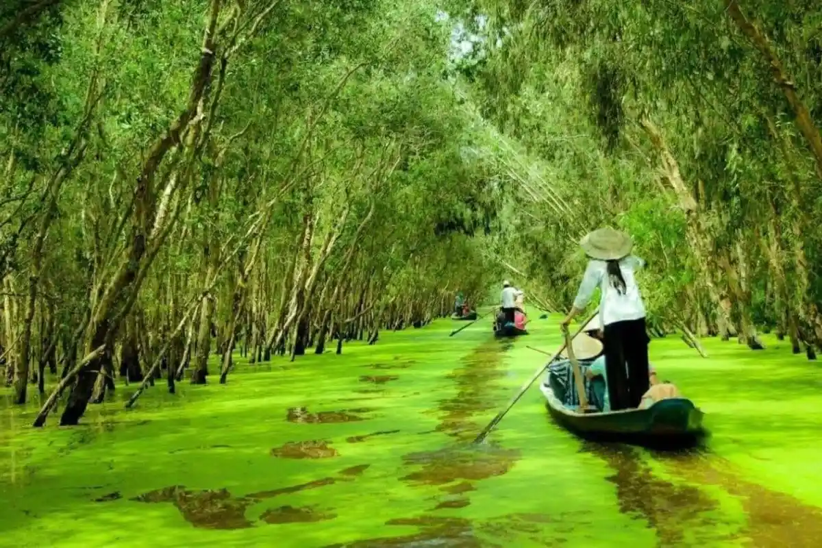 Khám phá Rừng Tràm Trà Sư cùng MerPerle Nui Sam