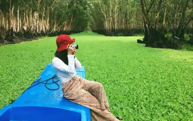 Tour rừng tràm Trà Sư phổ biến, giá tốt